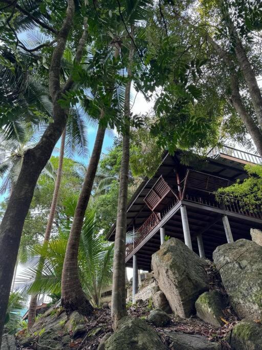 Green Jungle Home Chaloklum Exterior foto
